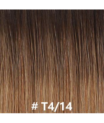 Premium Russian Hair Rak T4/14 de France