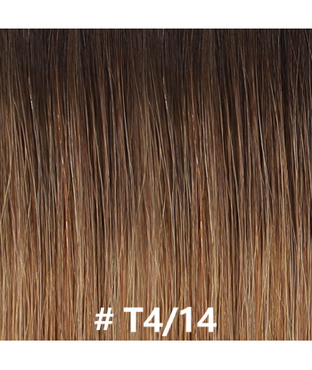 Extensiones adhesivas / cintas lisas Premium Russian Hair T4/14 brillant des détails fins