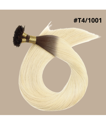 100 Extensiones de Queratina Lisas Premium con Punta Plana T4/1001 shop