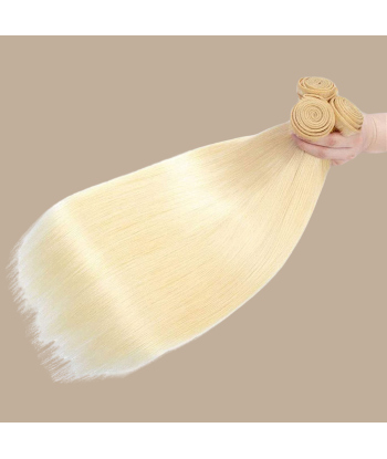 Cabelo Humano Liso 7A Louro Platine 613 100 Gr Par le système avancé 