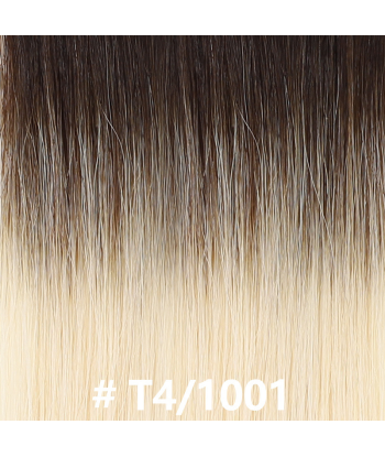 Extensões Adesivas / tapes lisos Premium Russian Hair Toutes les collections ici