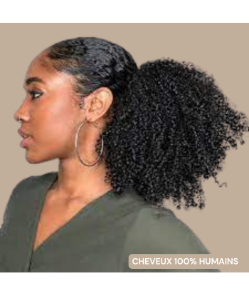 Coda di cavallo castano scuro con clip naturale capelli ricci afro Comparez et commandez 