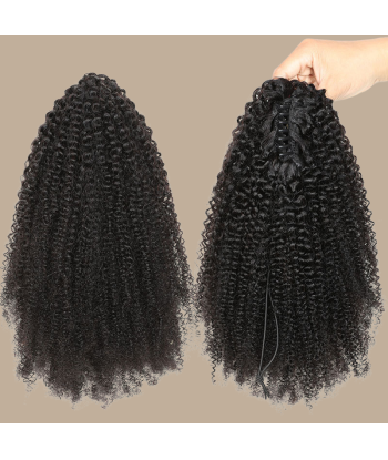 Coda di cavallo castano scuro con clip naturale capelli ricci afro Comparez et commandez 