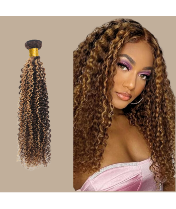 Tessitura Capelli Vergine Capelli Umani Ricci Kinky 7A Marrone Medio Biondo P4/27 100 Gr acheter