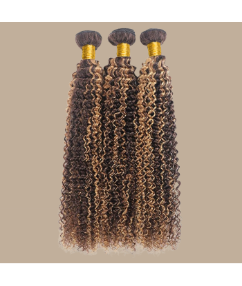 Tessitura Capelli Vergine Capelli Umani Ricci Kinky 7A Marrone Medio Biondo P4/27 100 Gr acheter