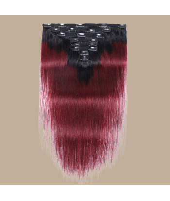 Rak Ombre Mörkbrun Clips Extensions Kit 99J 120 gr le des métaux précieux