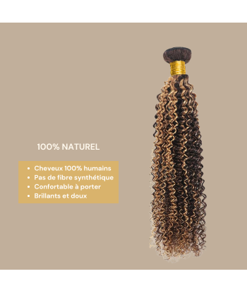 Kudonta neitsyt hiukset ihmisen hiukset Kinky Curly 7A Medium Brown Blond P4/27 100 Gr 100 Gr le des métaux précieux