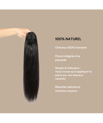 Coda di cavallo castano scuro naturale Clip Remy capelli lisci pas cher 