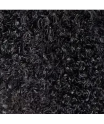 Afro Curly Black 120g Clip-In Extensions Kit en ligne